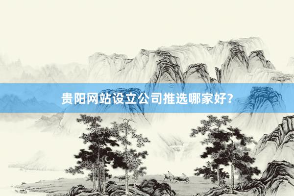 贵阳网站设立公司推选哪家好？