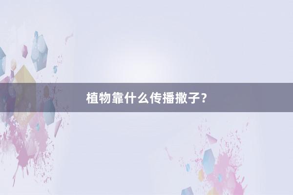 植物靠什么传播撒子？